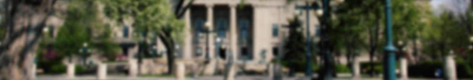 Areas of Practice - Deeley Fabbri Sellen LLP - Family Law Winnipeg, Manitoba